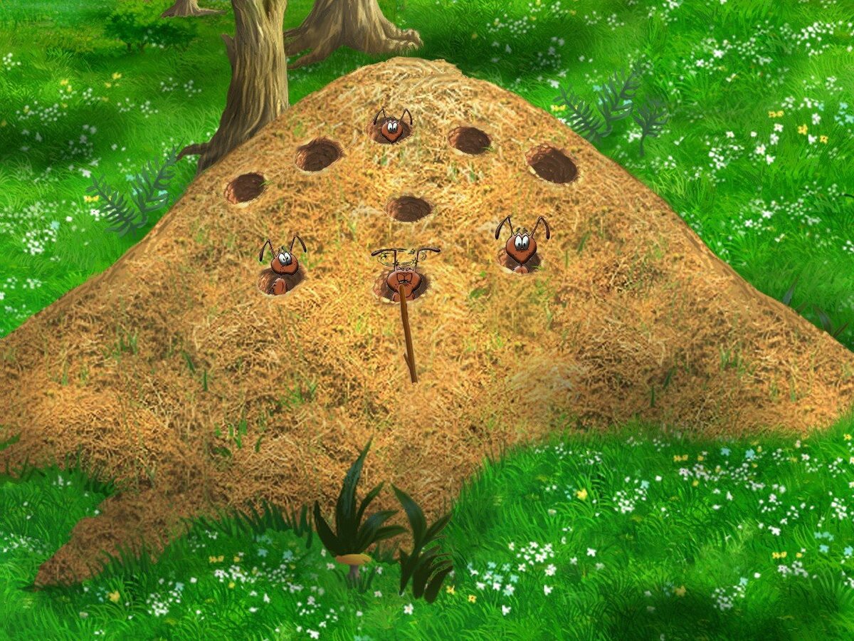 фото взято на просторах интернета из общего доступа