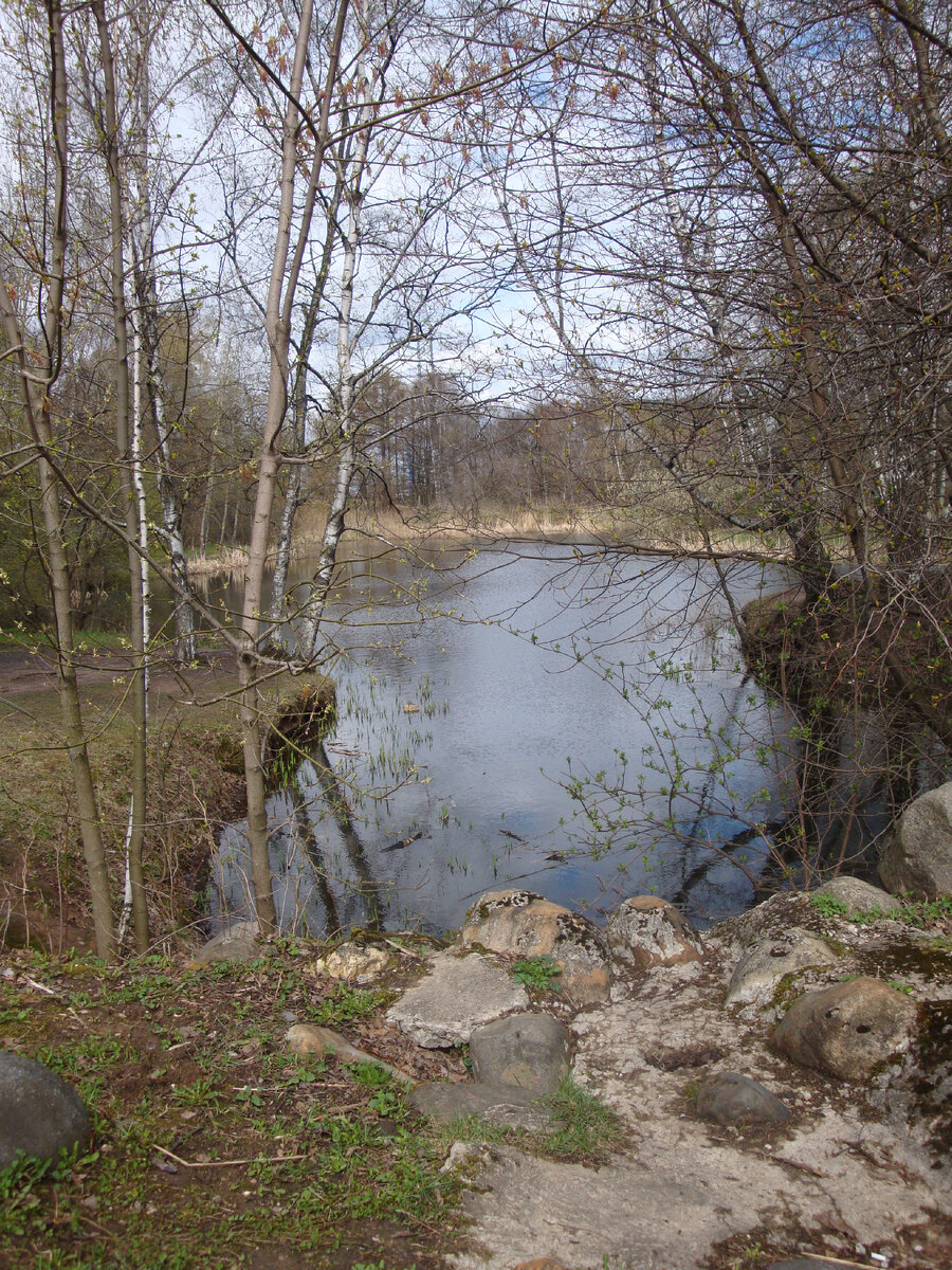Весна в Ботаническом саду,Москва