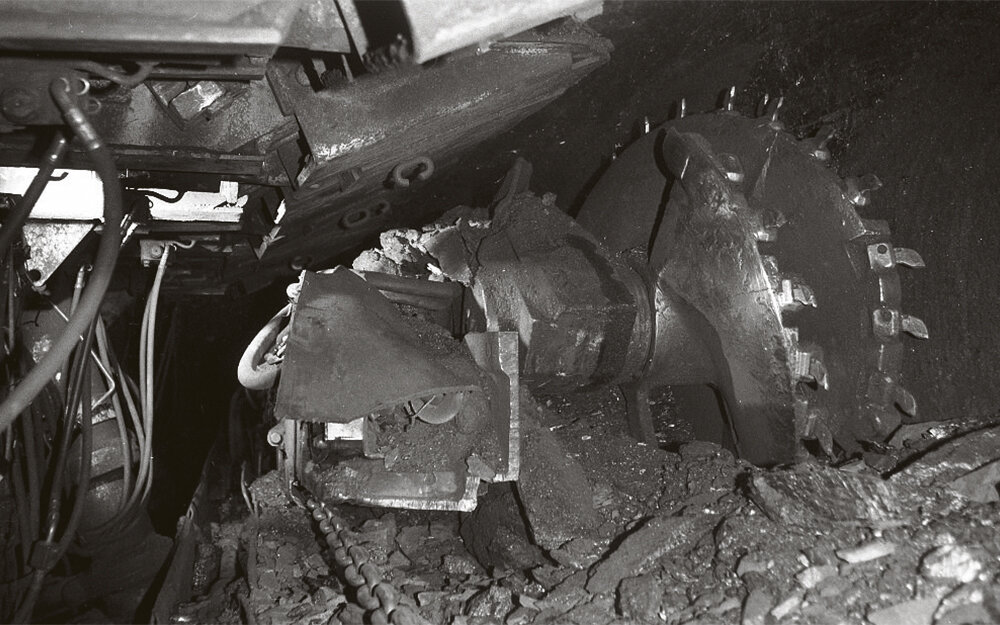 Фото: Александр Наумов. Снимок не имеет прямого отношения к истории, а лишь косвенно иллюстрирует публикацию.