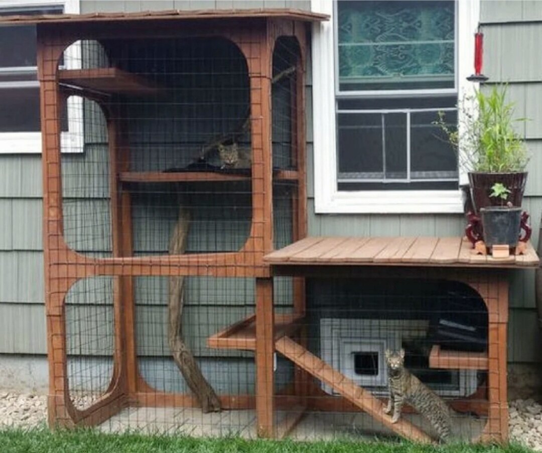 Вольеры для кошек. Фото из открытых источников в интернете. Листайте галерею
