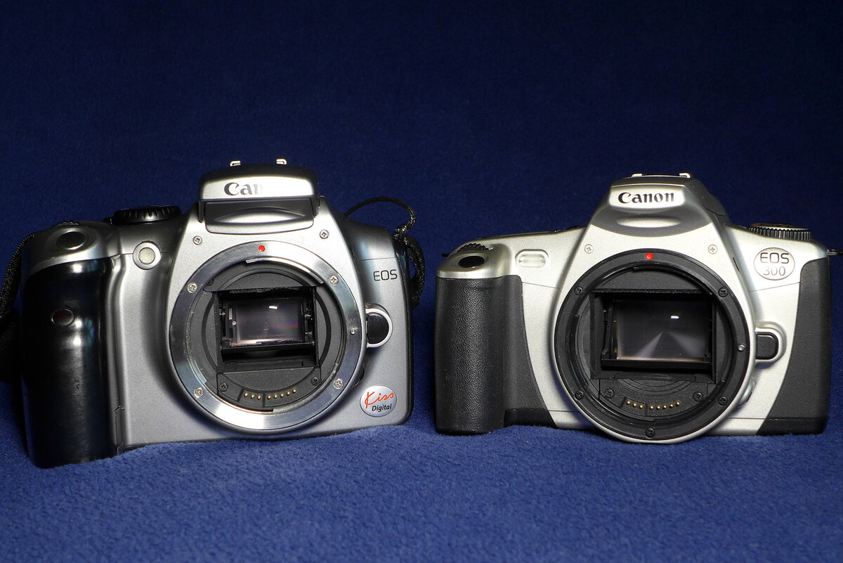 Canon Canon EOS 300D (слева) и пленочный Canon EOS 300 (справа).