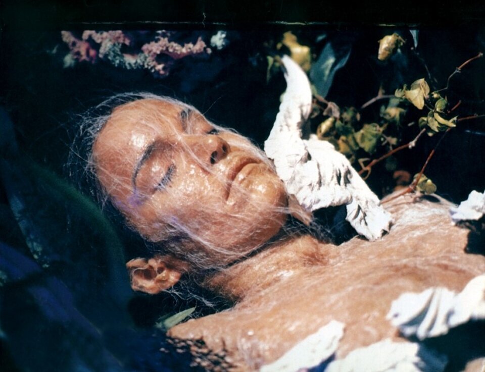 Кадр из фильма