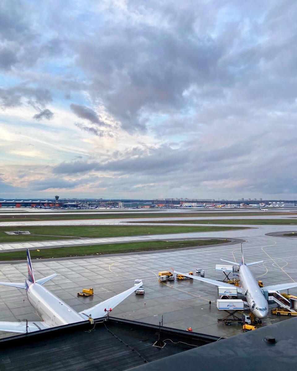 Любимые птички. 