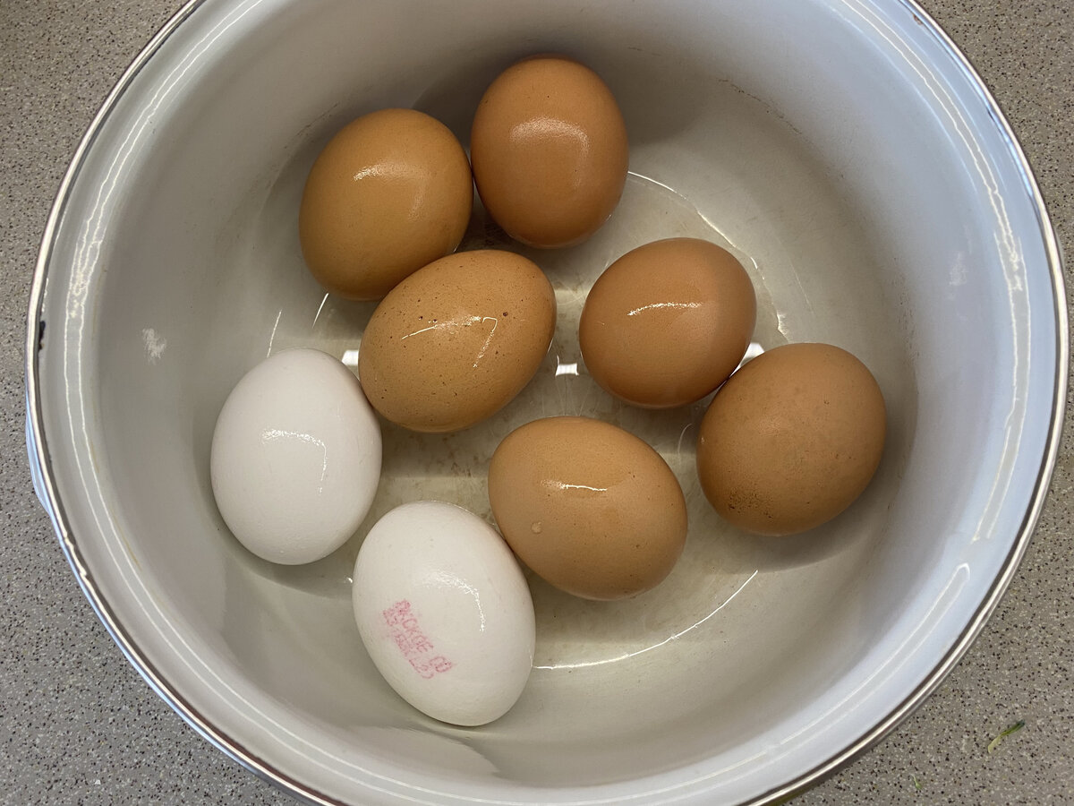 Фото из личного архива