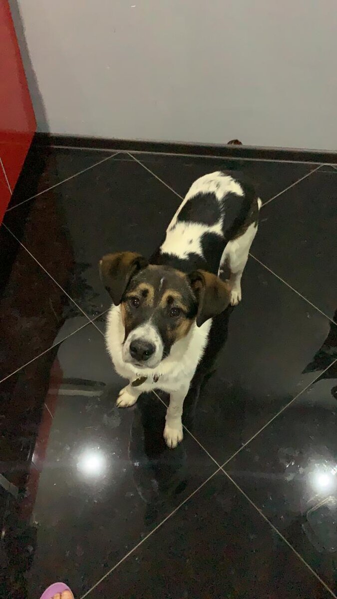 Вот он наш герой- Санта