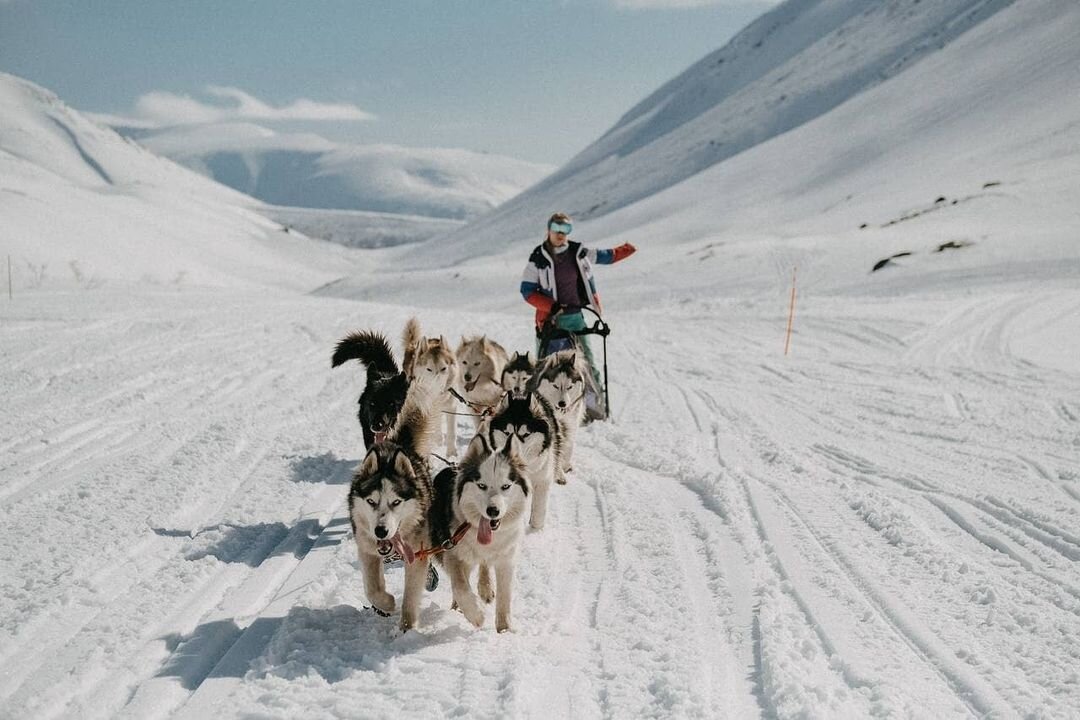 Фото @kudriphoto