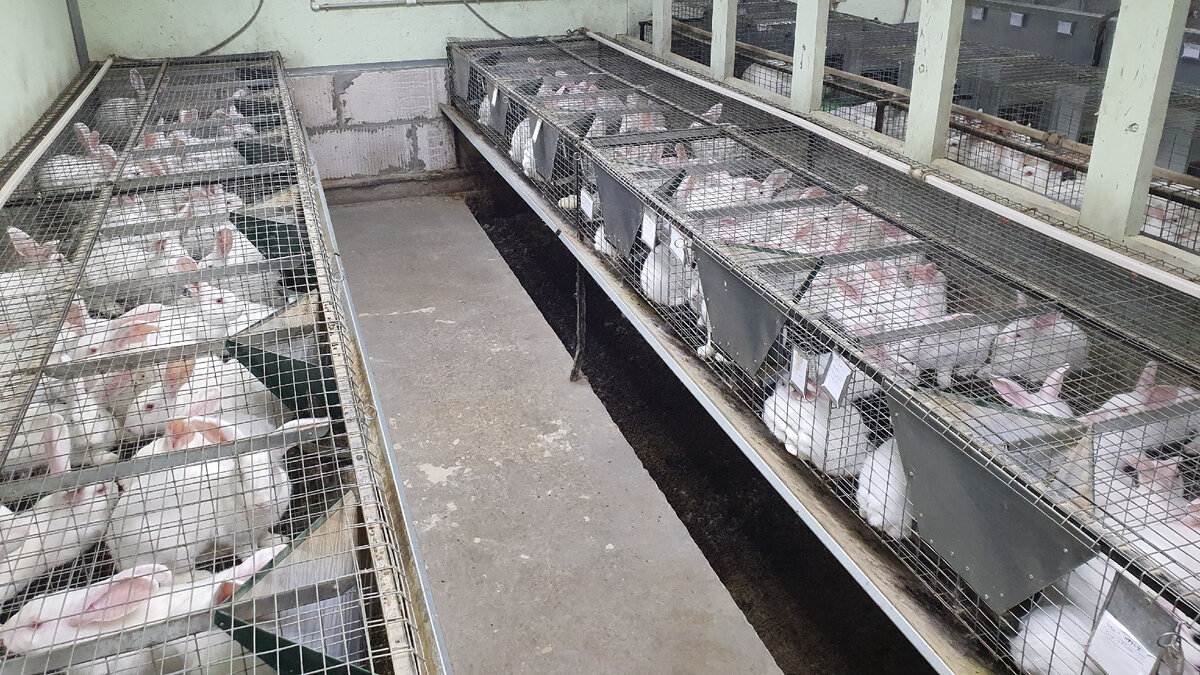 Фото Fermer.ru ©