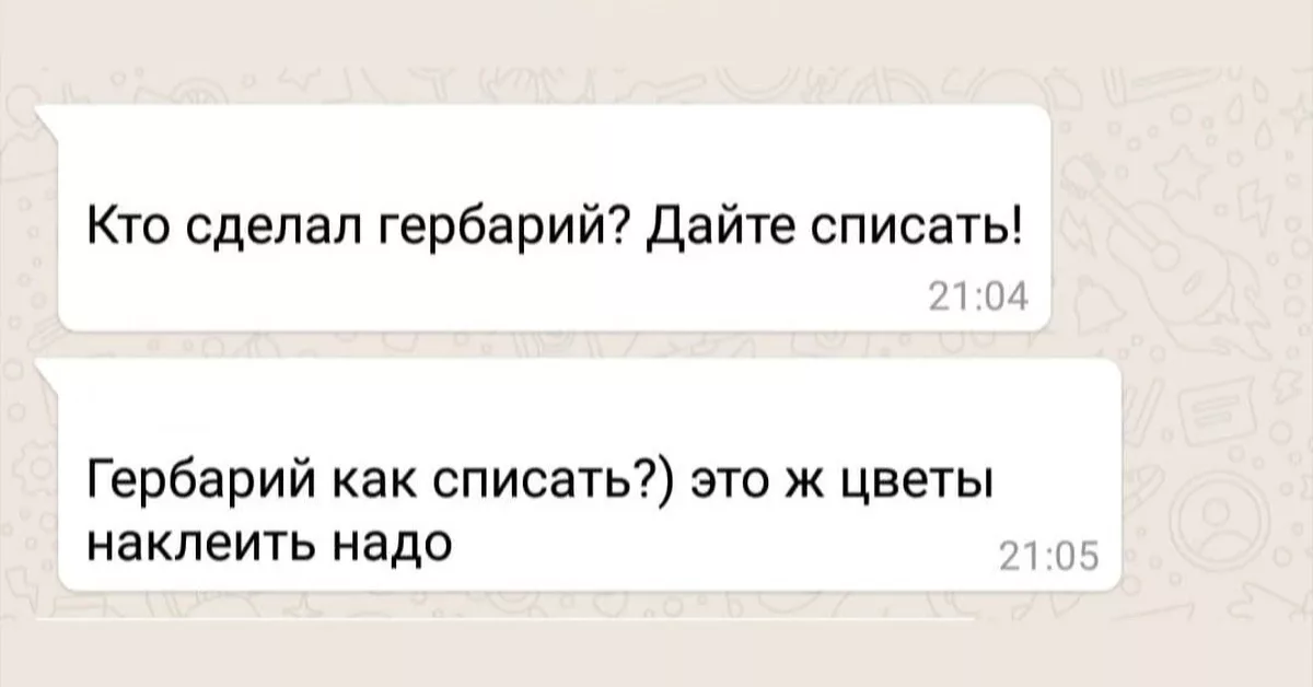 Шутки про родительские чаты. Школьный родительский чат. В каждом чате есть. Бесит чат. Люди которые читают сообщения и не отвечают.