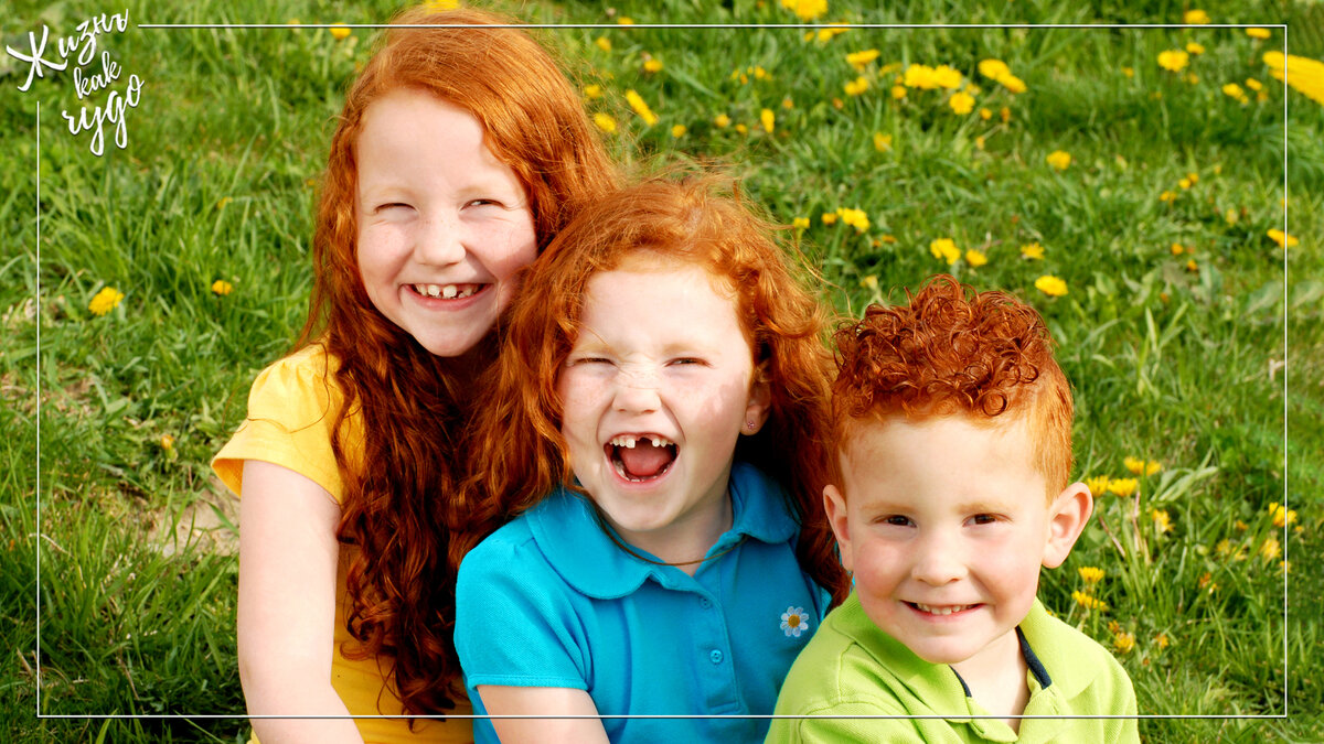 Источник фото: jooinn.com