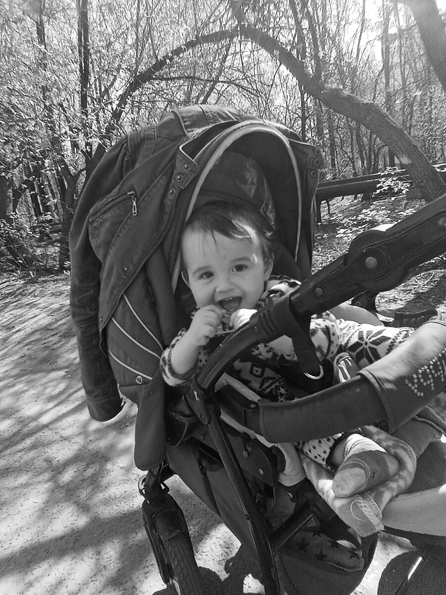 Нет ничего вкуснее одуванчика весной!