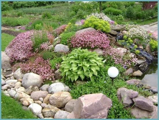 Планируйте альпийскую горку так, чтобы она хорошо была видна из любой точки участка 