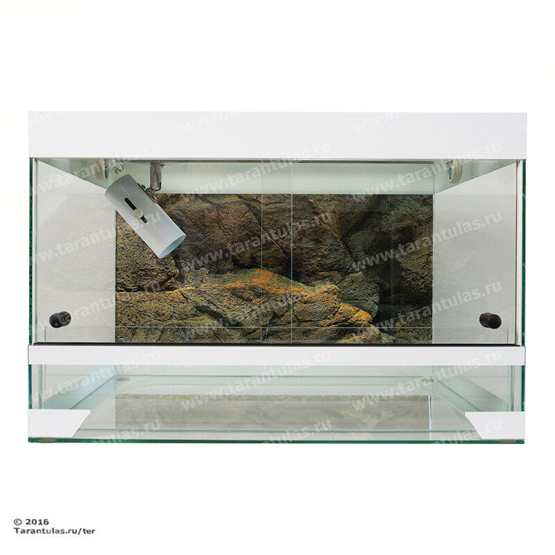 Ссылка: http://tarantulas.ru/terrarium/terrarium/terrarium-model-g71