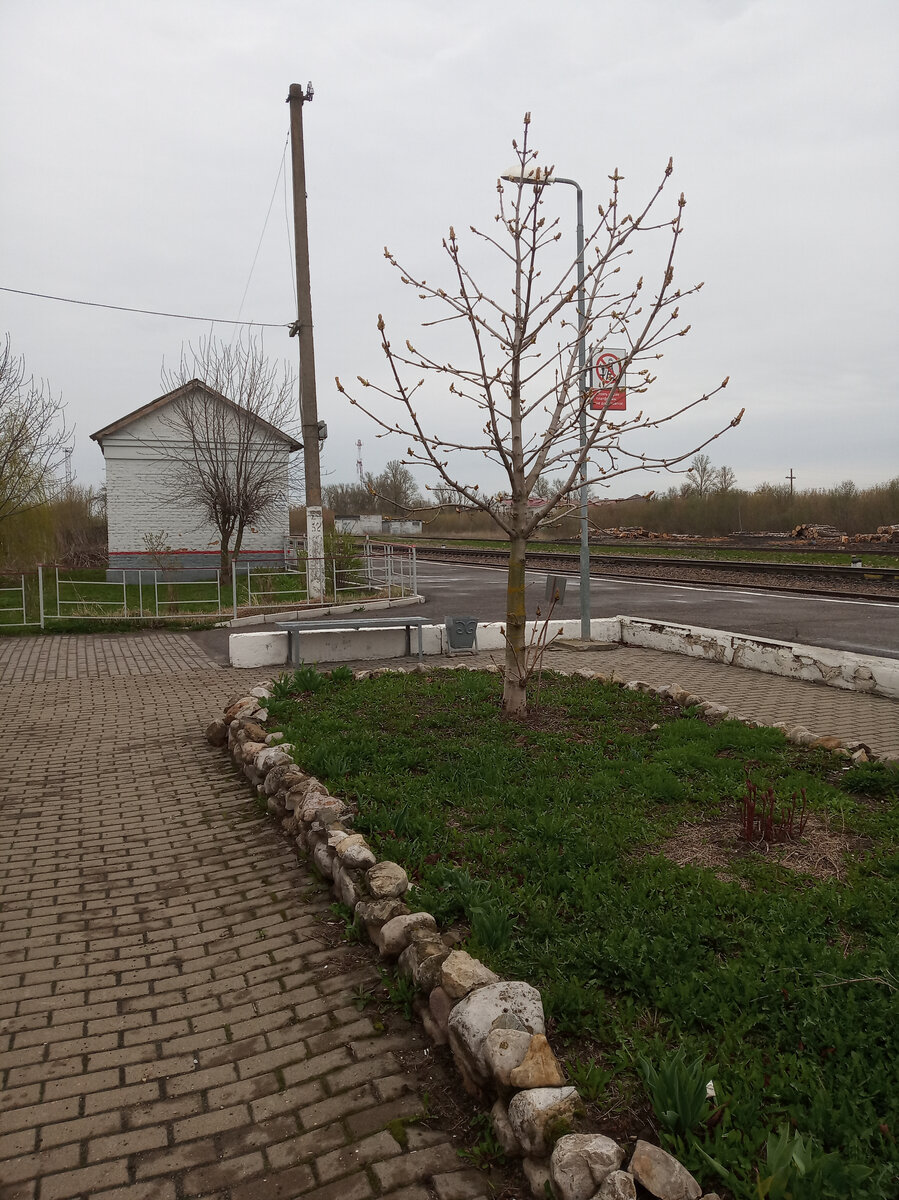 Все эти люди пришли покататься на поезде