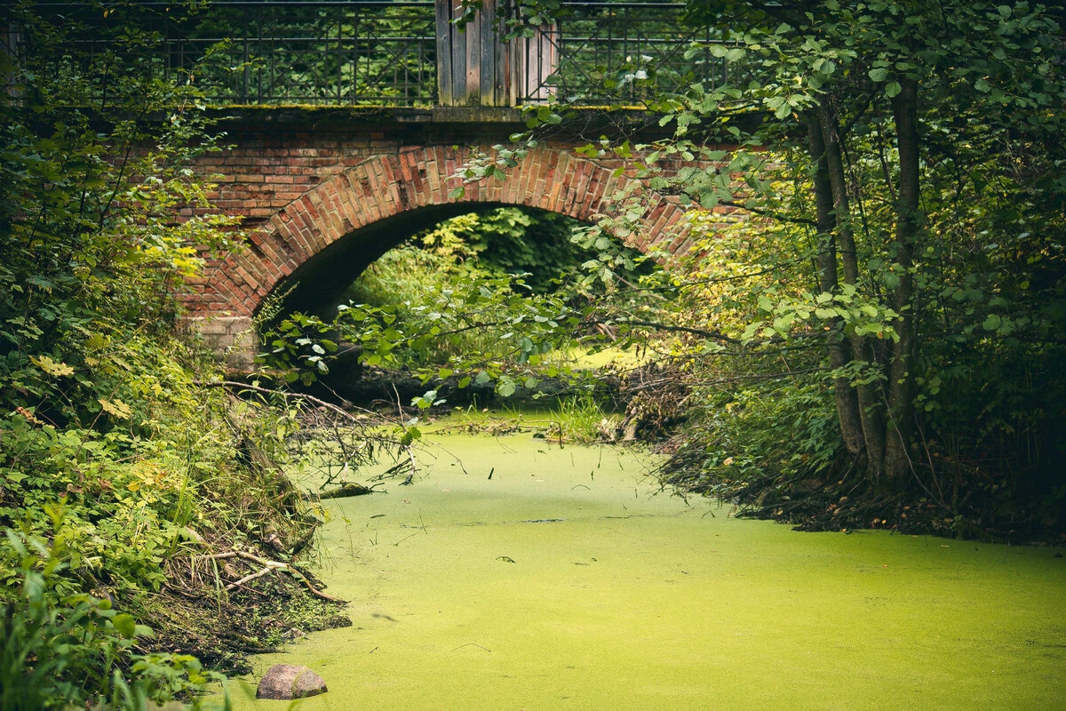 По пути к даче