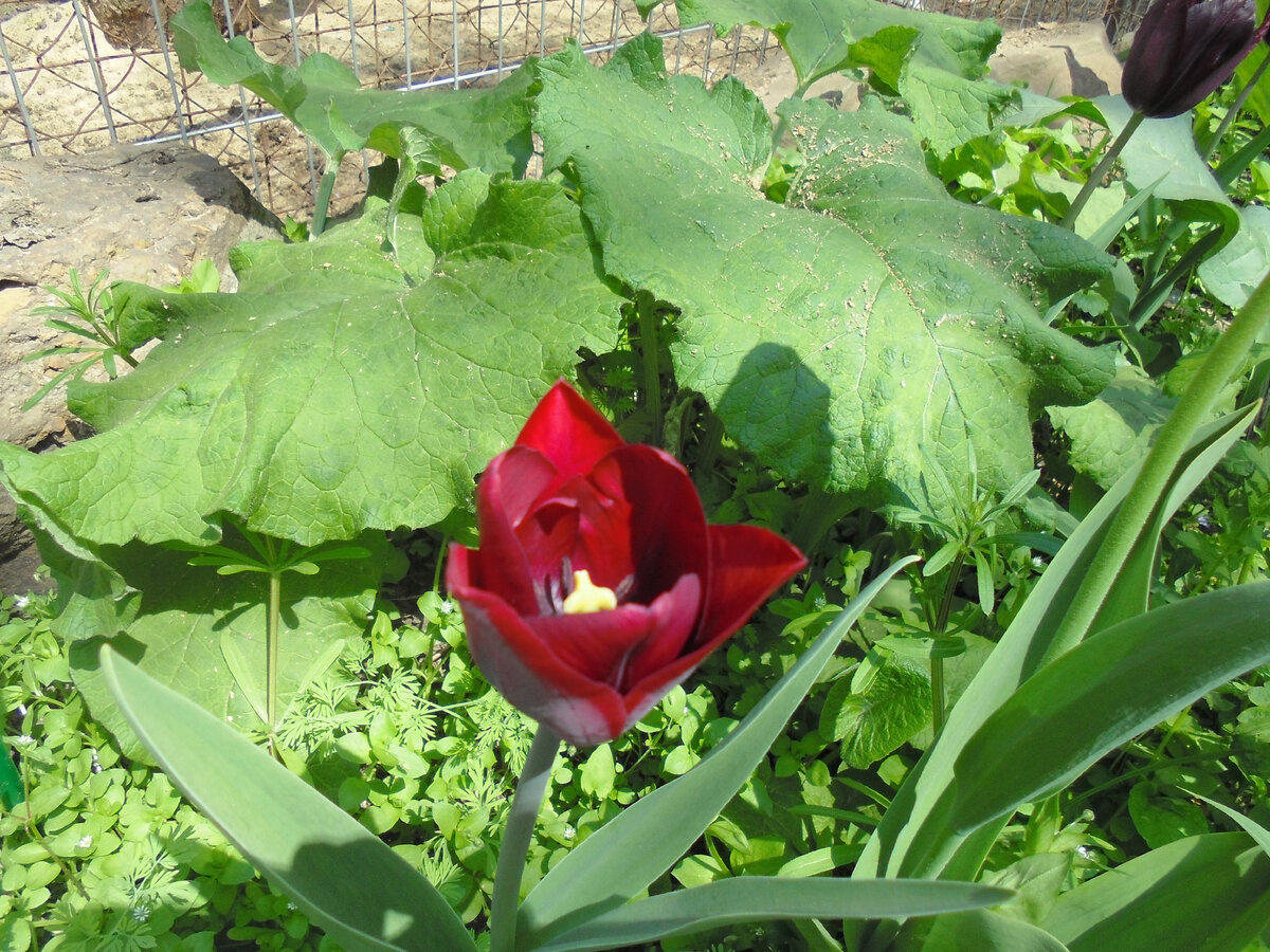 Впереди праздник. Праздник со слезами на глазах. Но люди уходят и не успевают увидеть новый день. Просто помните о них. Кто-то завоевал для вас победу. Кто-то дал вам жизнь. Уходят разные. Молодые и старые. 