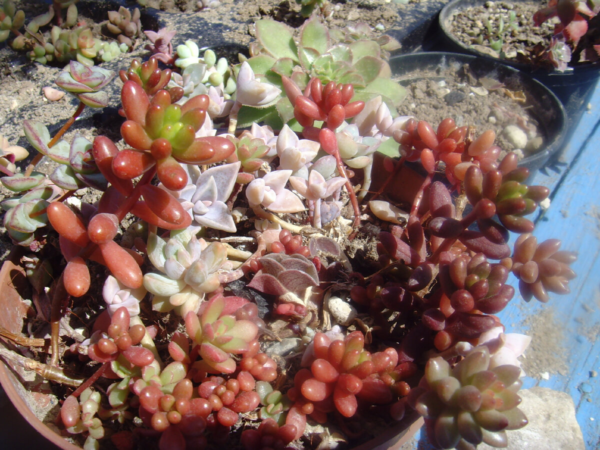 начинаем загорать!))