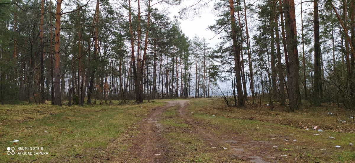 Личное фото автора.