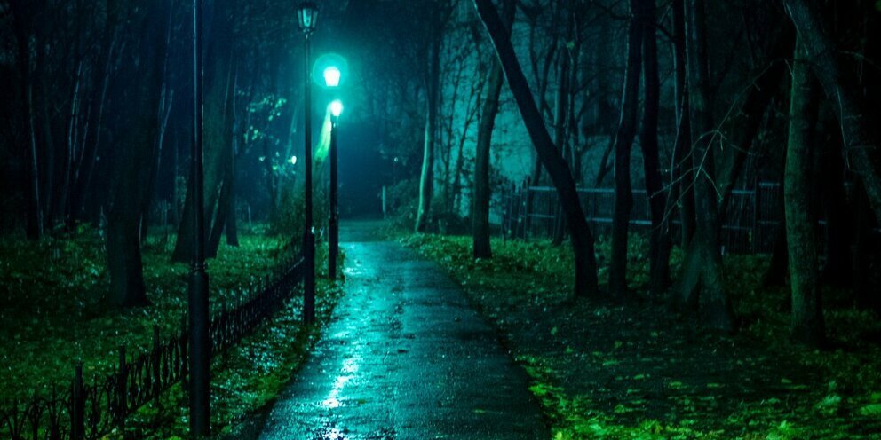 Источник Яндекс картинки