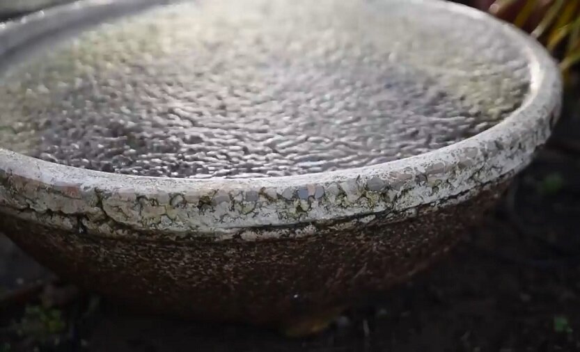 Собираю воду