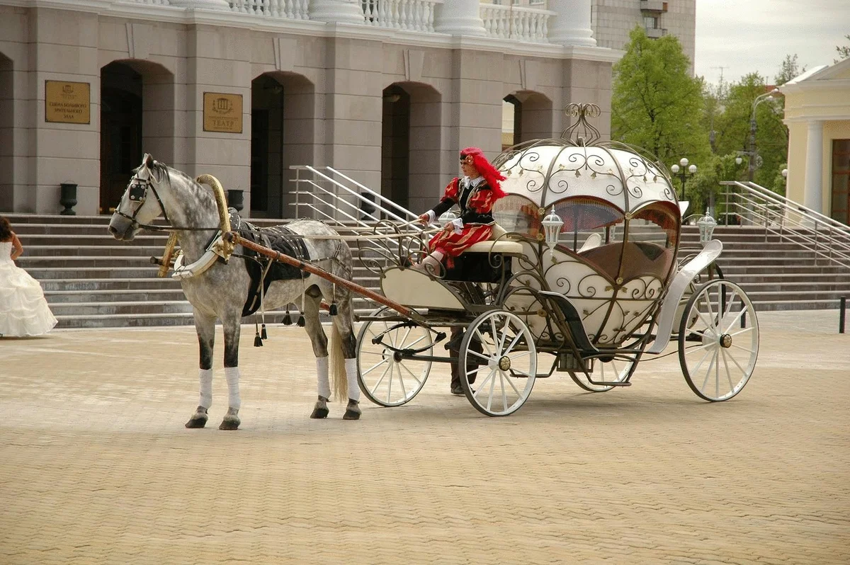 Рассмотрим Личность на примере экипажа. Где тело – это Карета, душа – это Кучер, а эмоциональное тело – это Лошадь.