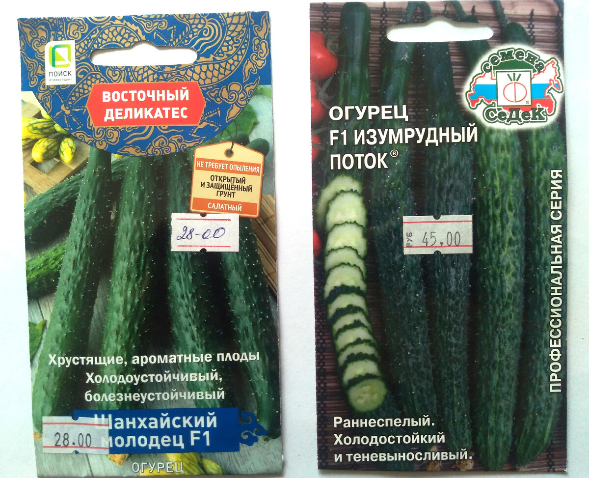Длинные огурцы