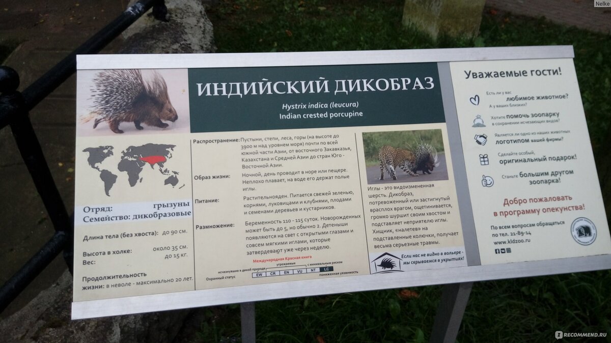 Источник: irecommend.ru