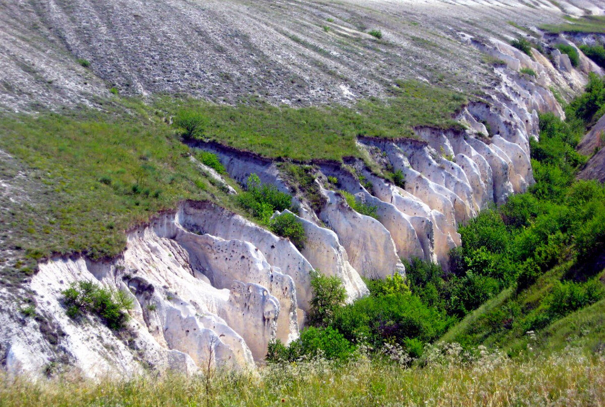 Дивногорье каньон