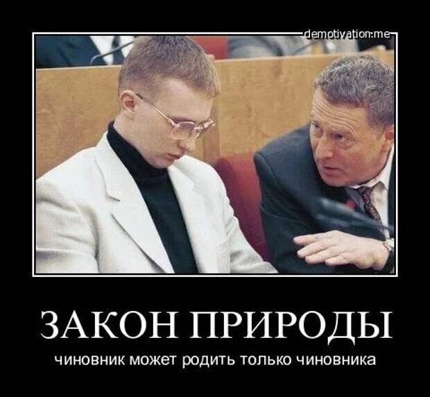 источник картинки https: yandex.ru 