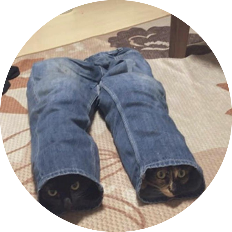 Ведем двойное наблюдение....