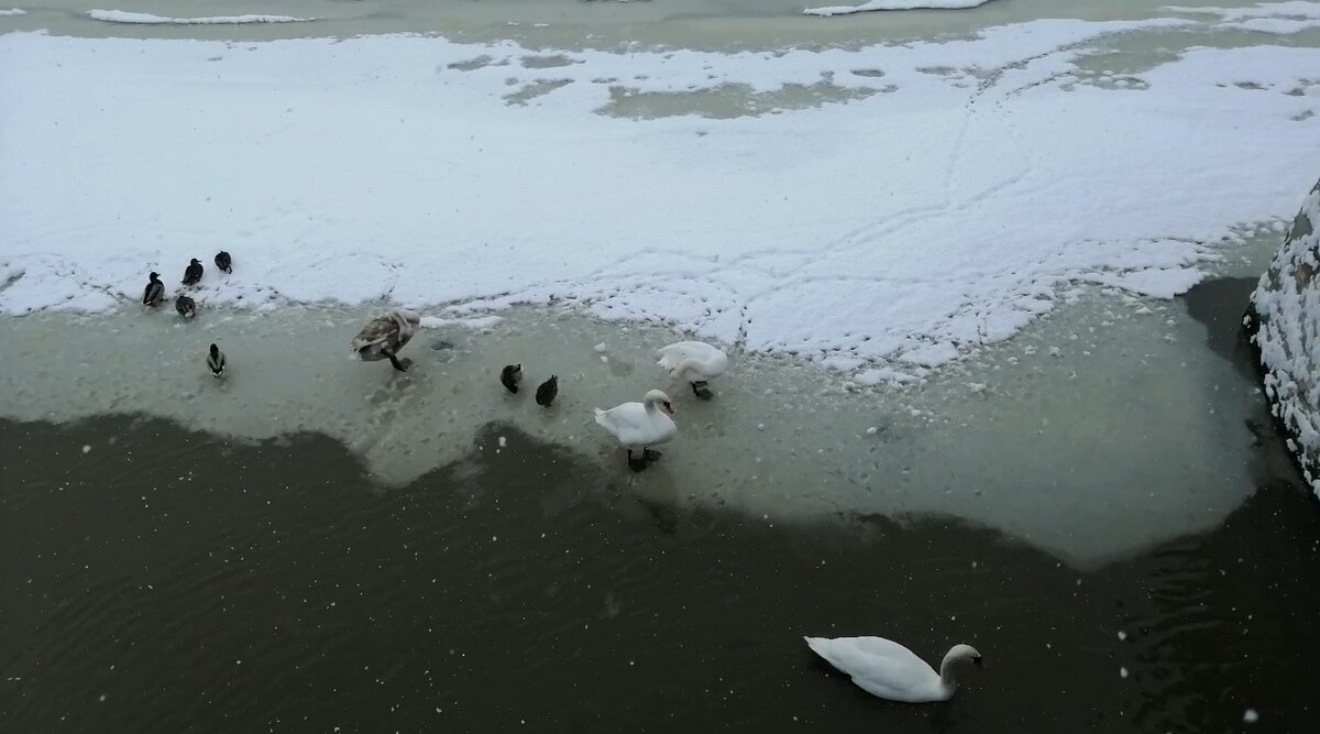 Вот такая картина в холодных тонах
