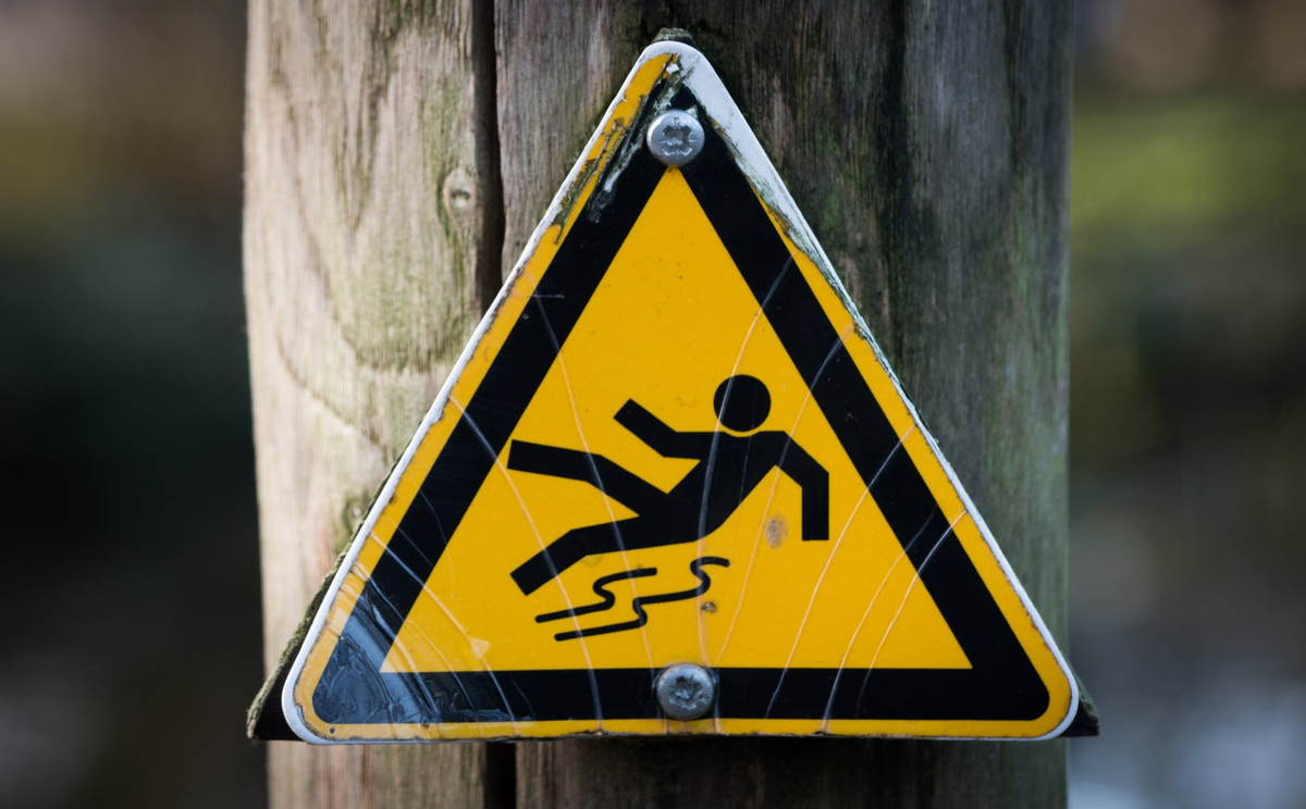 Изображение с сайта https://www.pexels.com