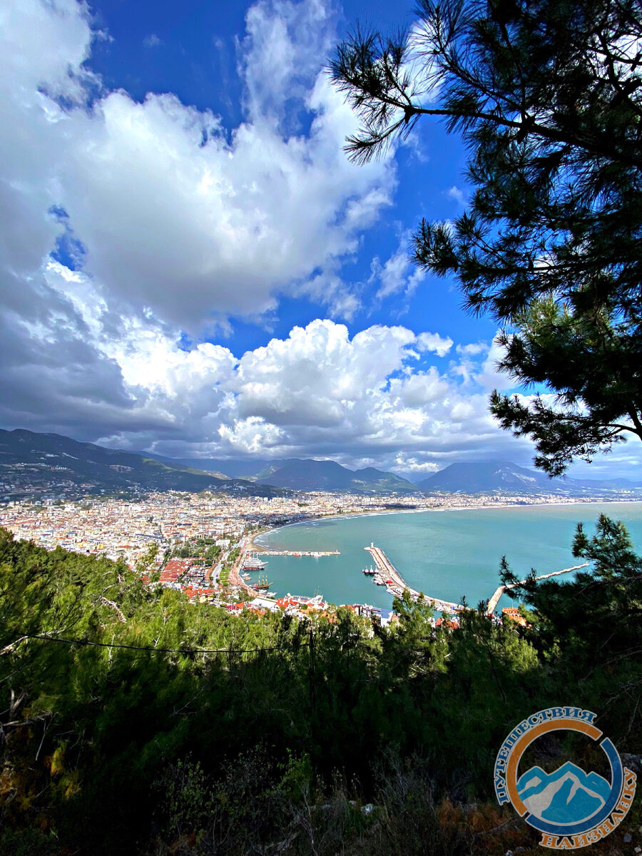 «..новости из Турции ну прямо-таки дикие..» (фото автора)