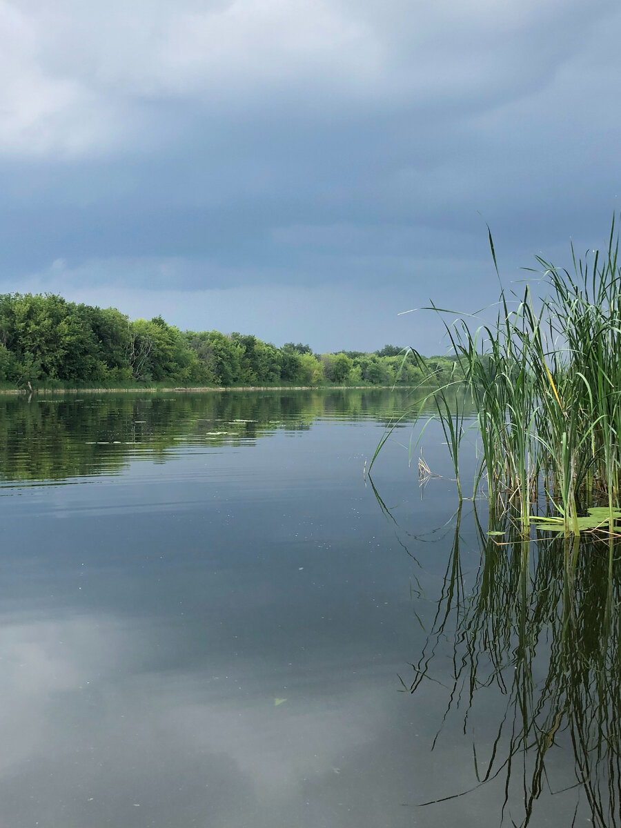 Саратовское водохранилище