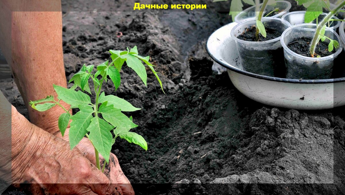 https://vk.com/photo-159774511_457247467