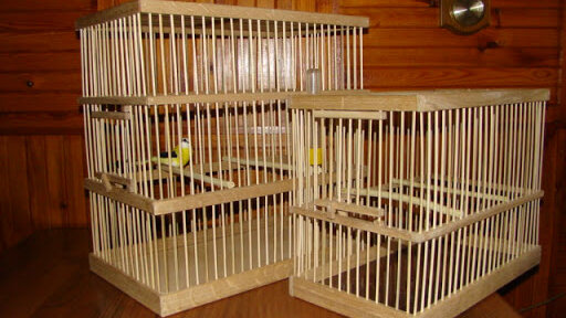 Милый дом для попугая своими руками. Теперь птица довольна и может летать в клетке. Схема и видео