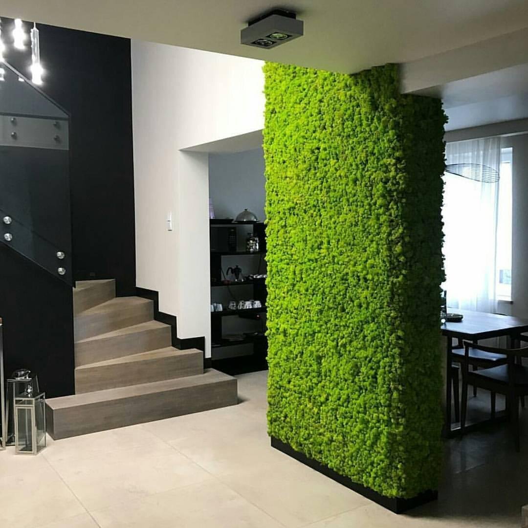 Ένας ζωντανός τοίχος. σταθεροποιημένη βρύα