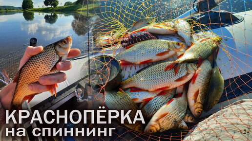 Красноперка на спиннинг на мормышку. Мормышинг в деле.