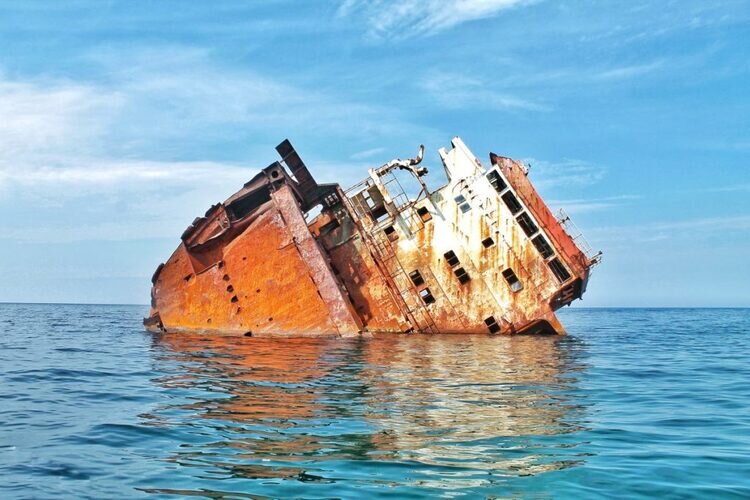 Фото из открытых источников.