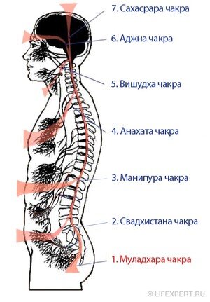 Муладхара чакра: как сбалансировать корневую чакру