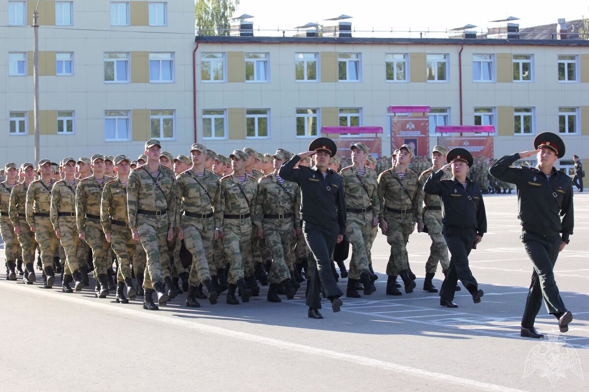 Пермский военный институт Росгвардии. ПВИ ВНГ РФ Пермь. ПВИ Росгвардия Пермь. Институт Росгвардии Пермь. Военные в пермском крае