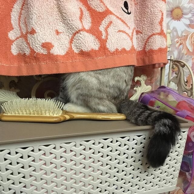 Средства личной гигиены