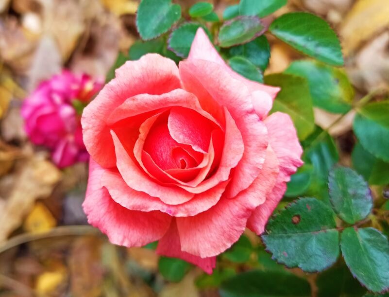  Октябрь. Фото автора.