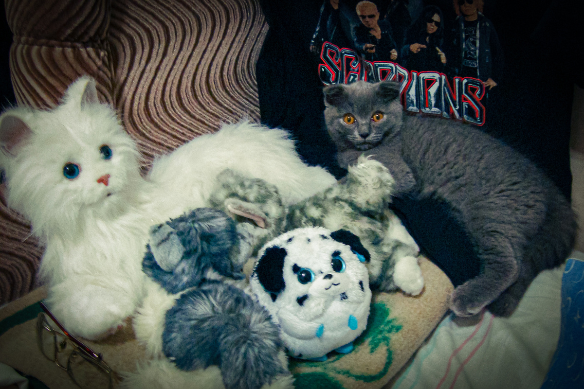 Маскировка прошла успешно