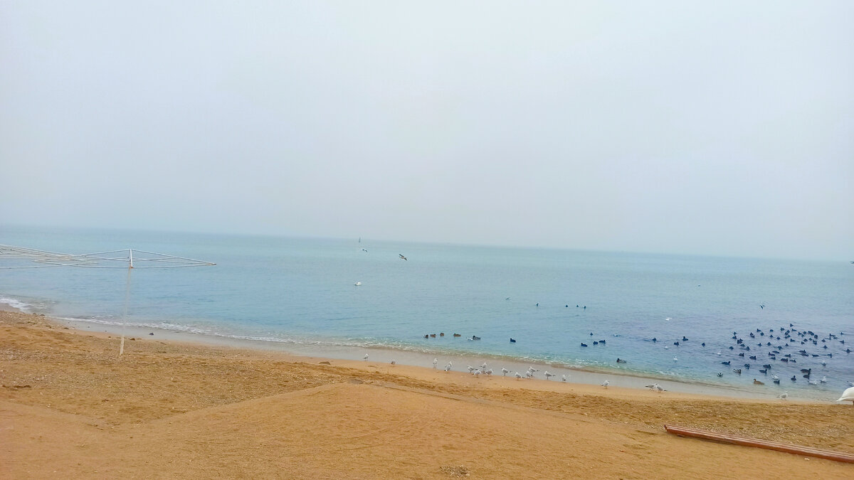 Пляж в Феодосии