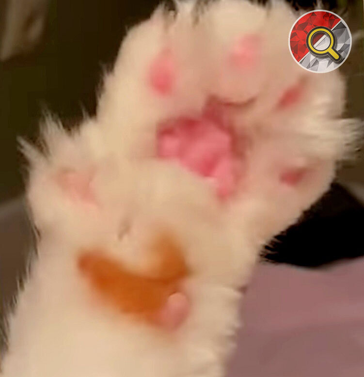 ТОПЫ | ПОДБОРКИ | ФАКТЫ