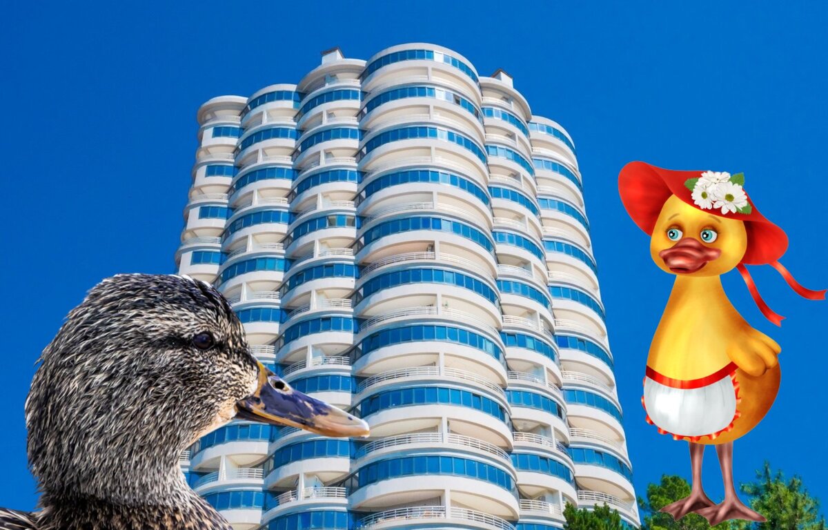 Цены в сочинских новостройках