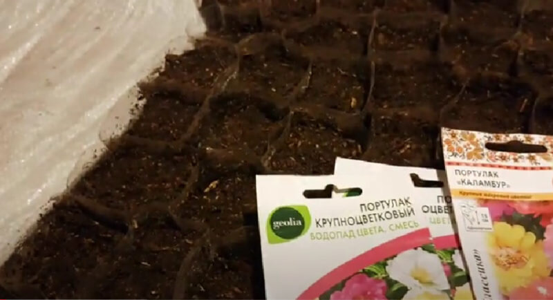 Посадка семян.