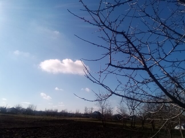 Весна.  Небо над станицей. Личное фото.