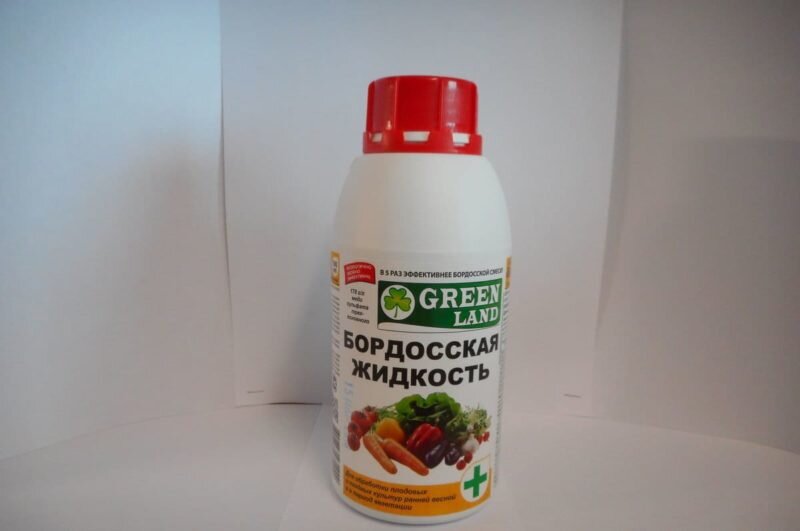 Весной обрабатываю смородину бордосской жидкостью — разбираю тонкости ...