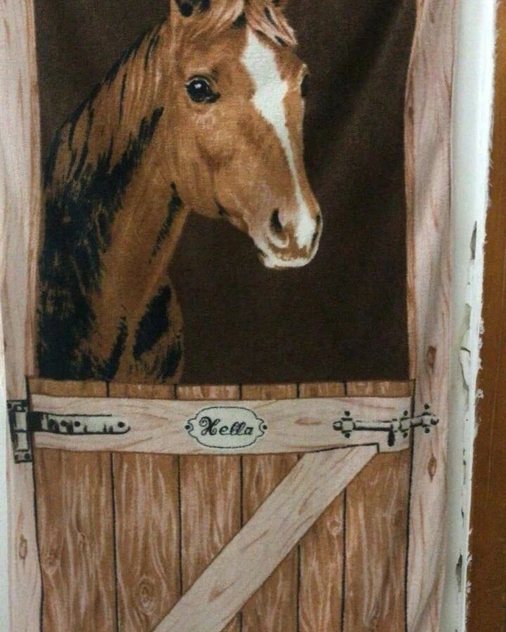 Спецоперация, Россия, Украина, скандал